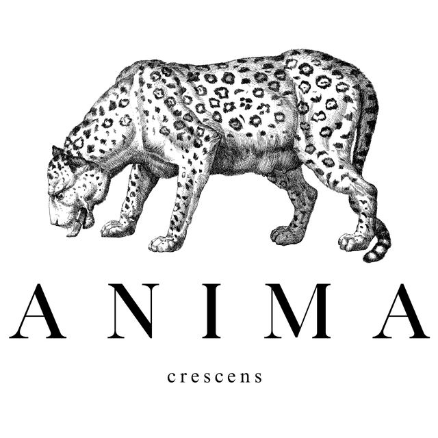 Anima
